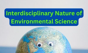 Interdisciplinary Nature of Environmental Science