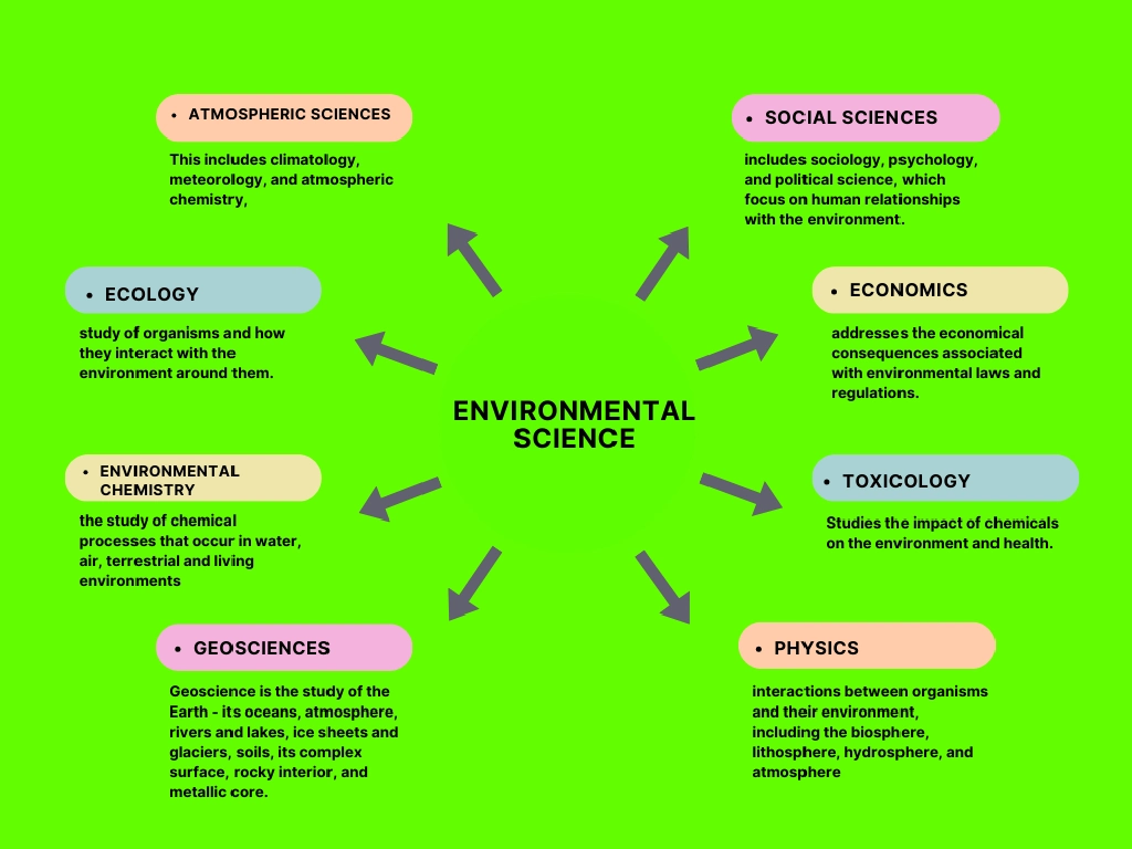 Interdisciplinary Nature of Environmental Science illustration