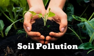 Soil Pollution