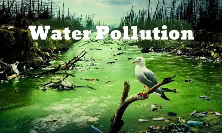 water pollution