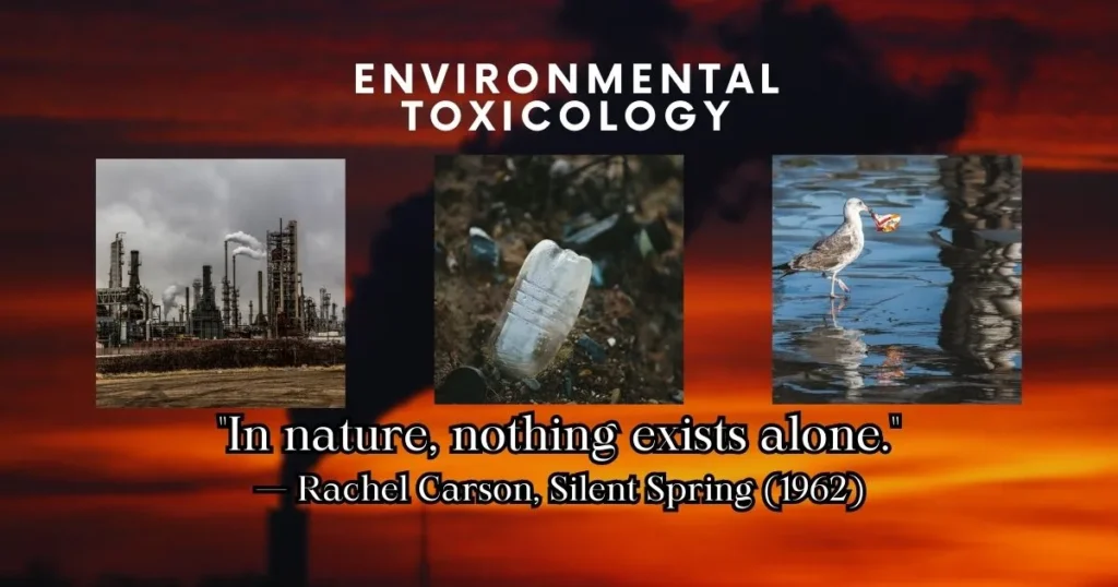 Environmental Toxicology Definition and Key Concepts