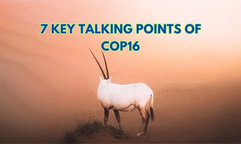 7 Key Talking Points of COP16 - UN Biodiversity Conference in Colombia