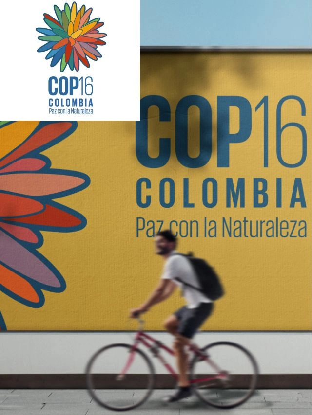 COP 16 in Colombia