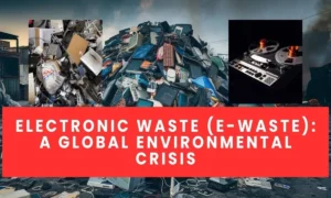 Electronic Waste (E-Waste) A Global Environmental Crisis