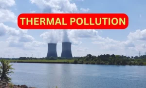 Thermal Pollution Understanding Its Causes, Effects, and Control Measures