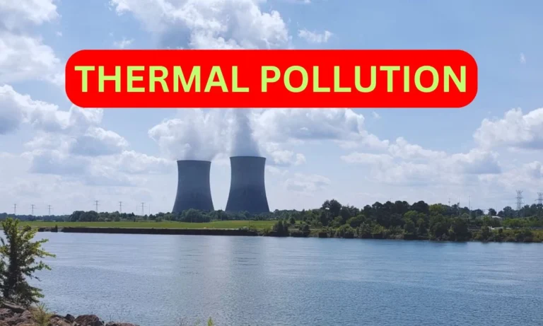 Thermal Pollution Understanding Its Causes, Effects, and Control Measures