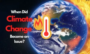 When Did Climate Change Become an Issue