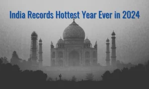 2024 Is India’s Hottest Year Since 1901 – IMD